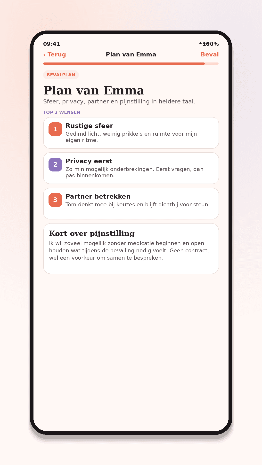 Mockup: plan met belangrijkste wensen